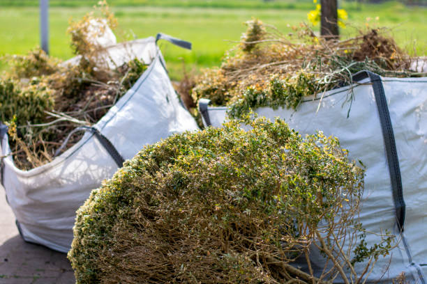Yard Cleanup Services in Rancho Cucamonga, CA